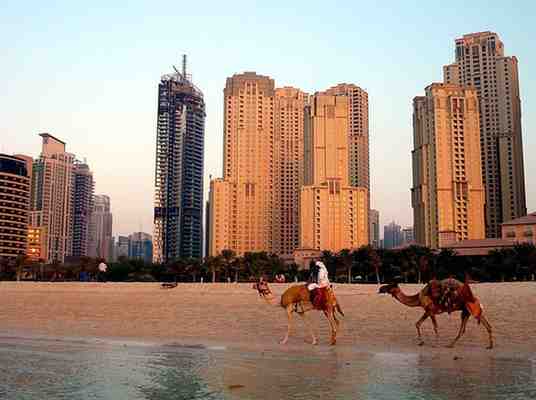 Camel Rides in Dubai Jumeirah Beach