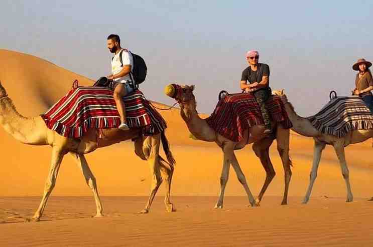 Camel rides in Dubai jumeirah beach