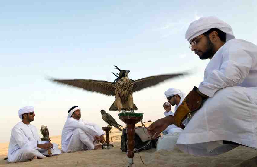 Celebrate the Spirit of the Union in Dubai Desert