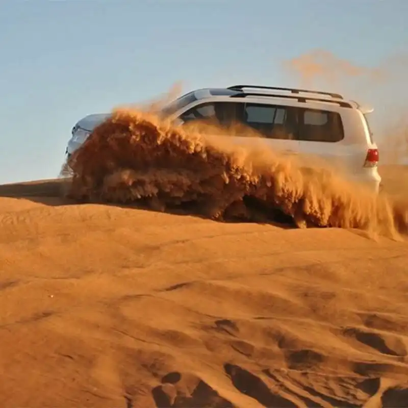 Evening Safari with BBQ and Shows